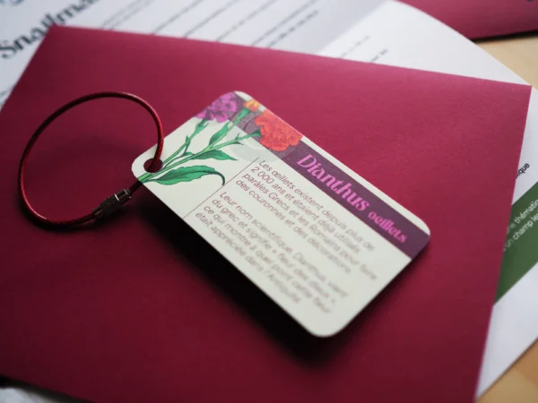 funfact Snailmail Trimestriel